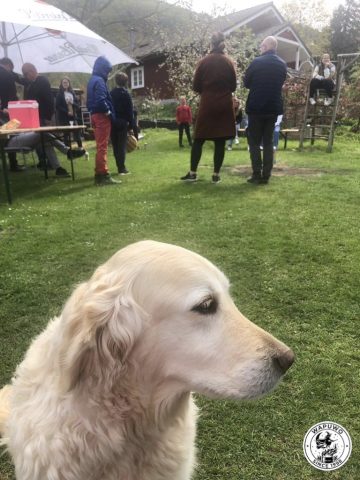 bd72b710 98ed 4619 9be0 7a785aa2ffe92022 05 01 14 25 52 000