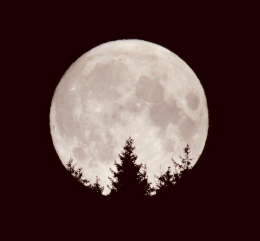 PHOTO-2026-03-21-08-47-08 PHOTO 2026 03 21 08 47 08